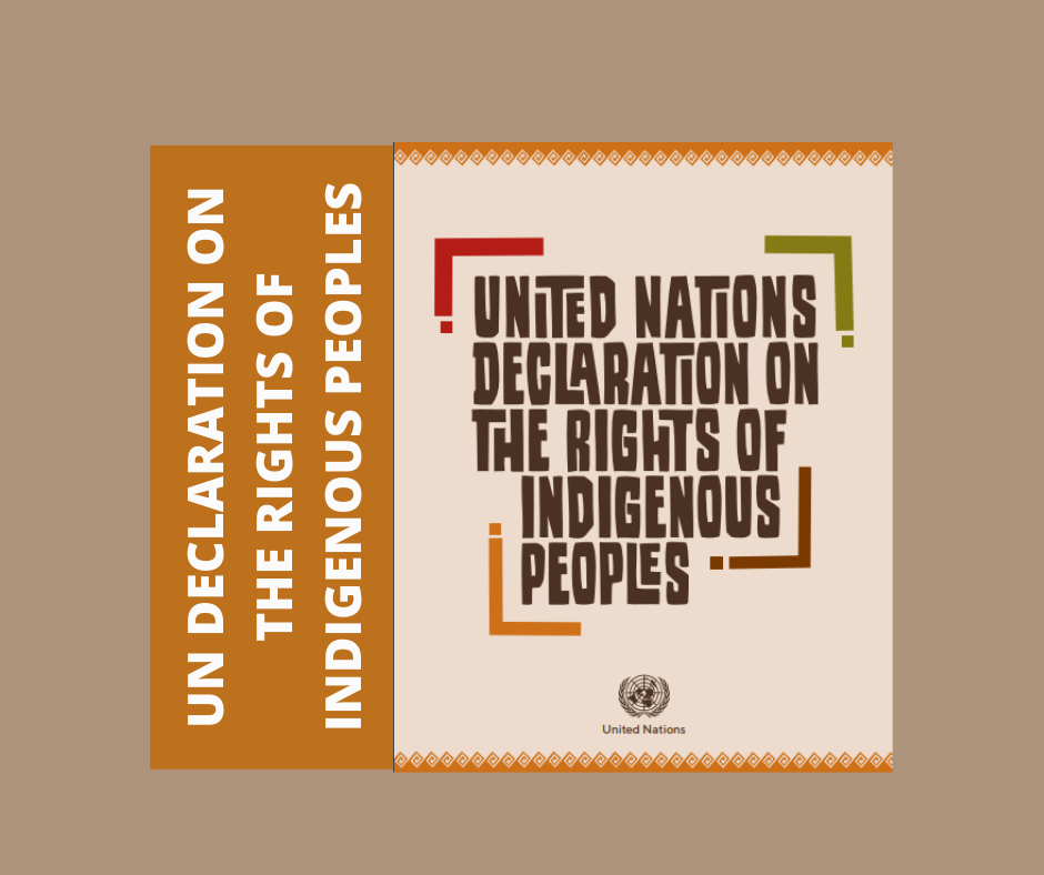 what-is-the-un-declaration-on-the-rights-of-indigenous-peoples